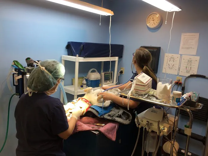 Compassion Animal Hospital LLC Picture 1