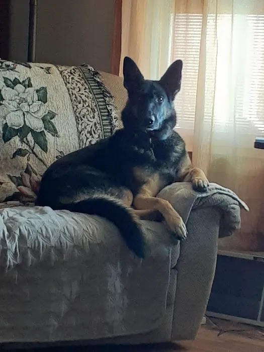 Compassion Animal Hospital LLC Picture 7