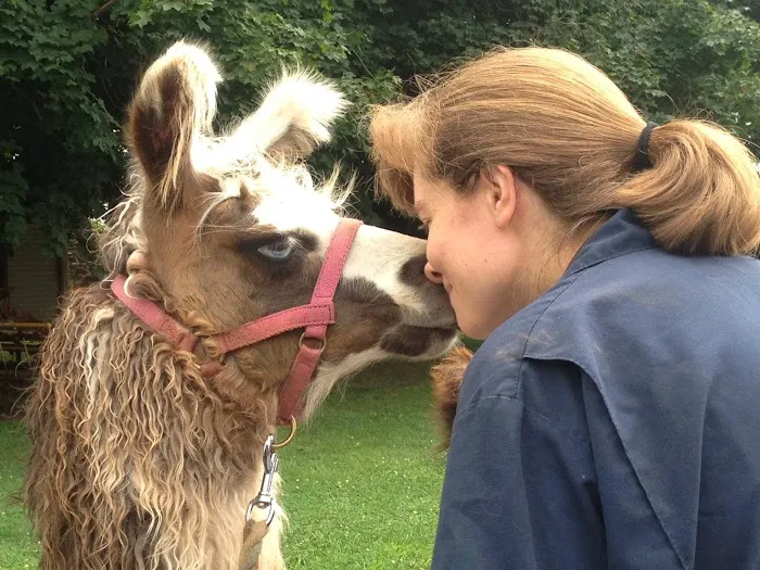 Compassion Animal Hospital LLC Picture 9