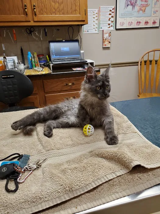 Shiloh Veterinary Hospital - West Picture 2