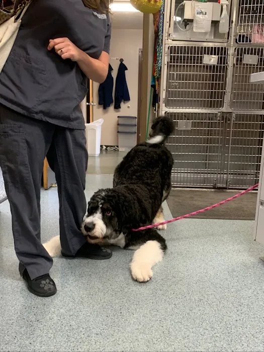 Shiloh Veterinary Hospital - West Picture 8