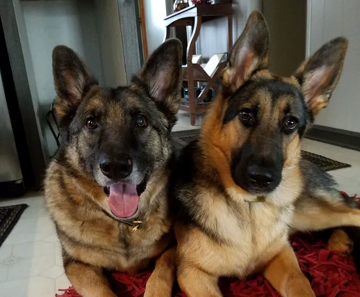 Littlestown Veterinary Hospital Picture 10