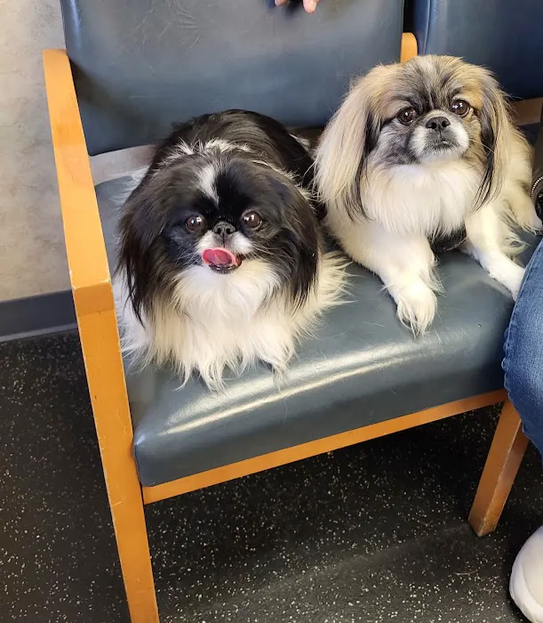Colonial Park Animal Clinic Picture 3