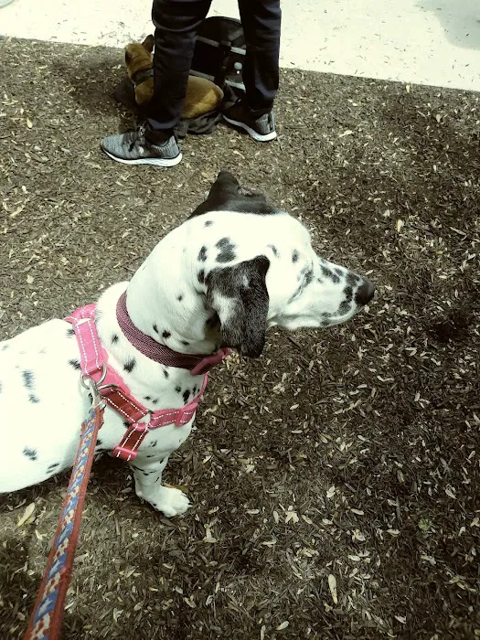 Colonial Park Animal Clinic Picture 5