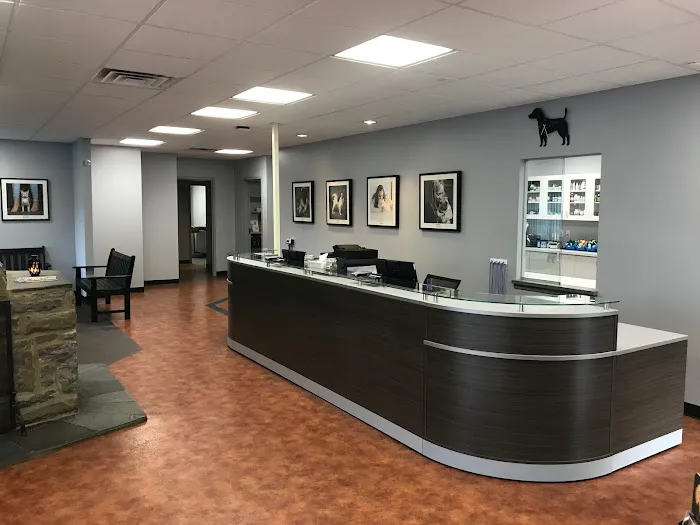 Susquehanna Valley Veterinary Clinic Picture 2