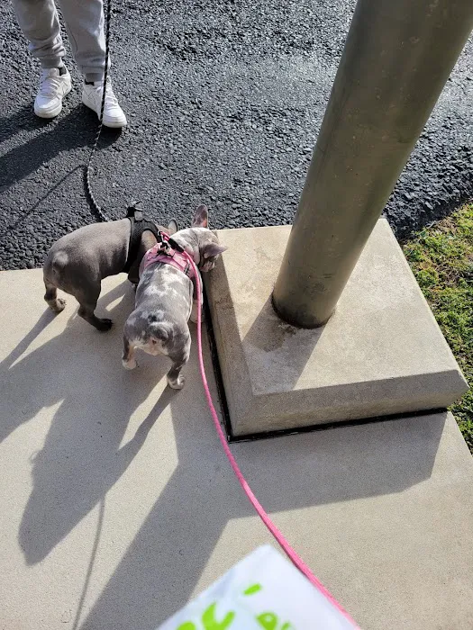 Susquehanna Valley Veterinary Clinic Picture 7