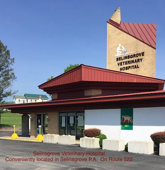 Selinsgrove Veterinary Hospital Picture 2