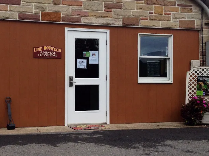 Line Mountain Animal Hospital Picture 3
