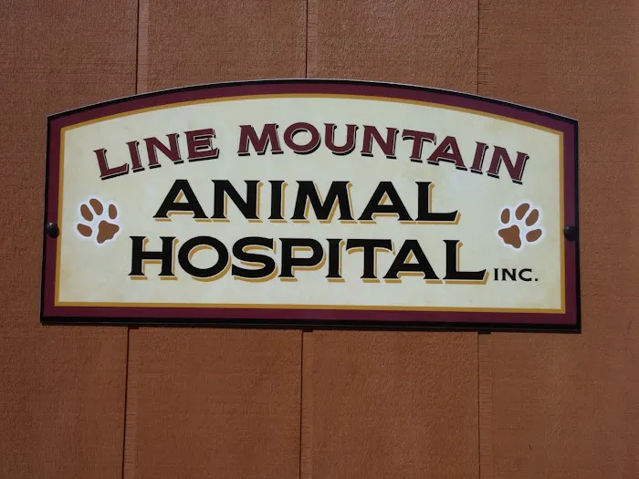 Line Mountain Animal Hospital Picture 2