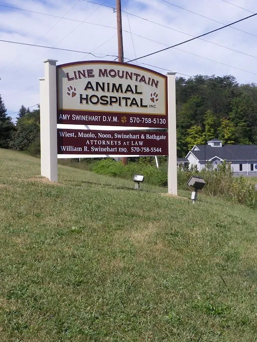 Line Mountain Animal Hospital Picture 7