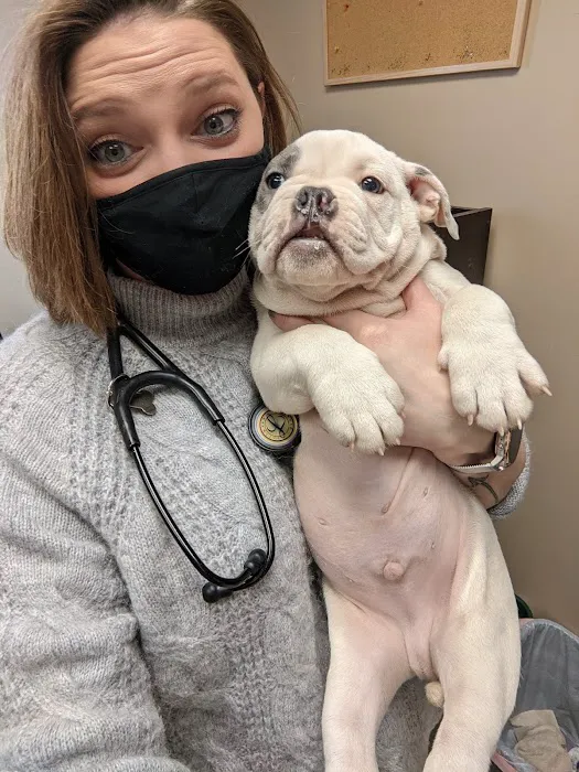 Middletown Veterinary Hospital Picture 9