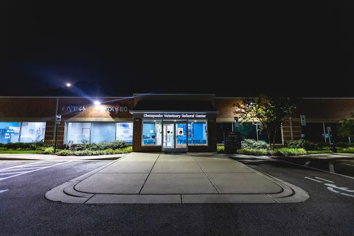 Atlantic Veterinary Internal Medicine & Oncology - Annapolis Picture 1