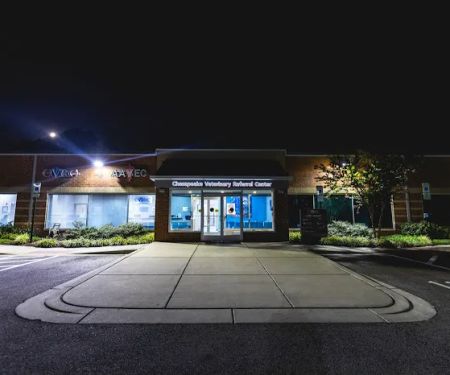 Atlantic Veterinary Internal Medicine & Oncology - Annapolis