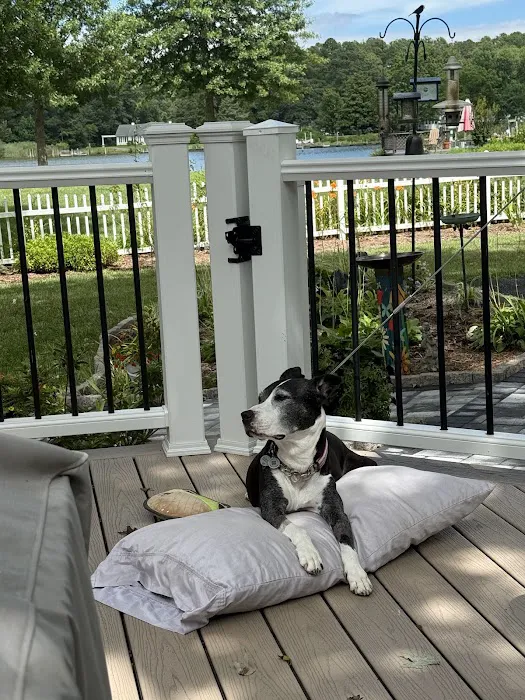 Atlantic Veterinary Internal Medicine & Oncology - Annapolis Picture 2