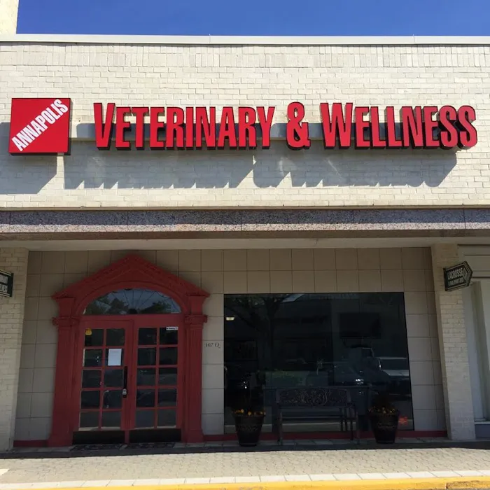 Annapolis Veterinary & Wellness Picture 5