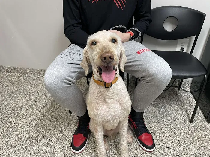 Annapolis Veterinary & Wellness Picture 4
