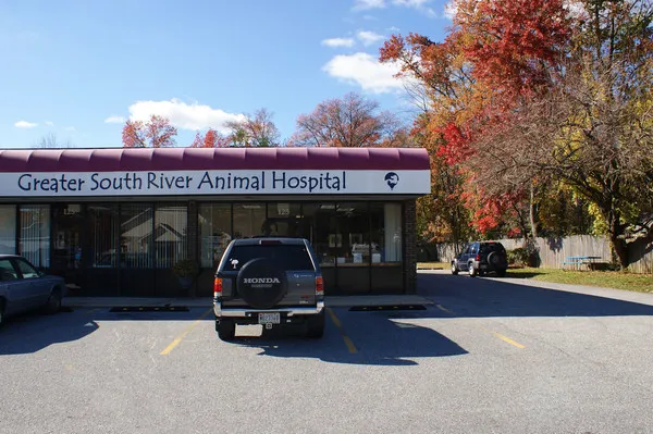 Greater South River Animal Hospital Picture 8
