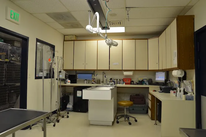 Greater South River Animal Hospital Picture 7