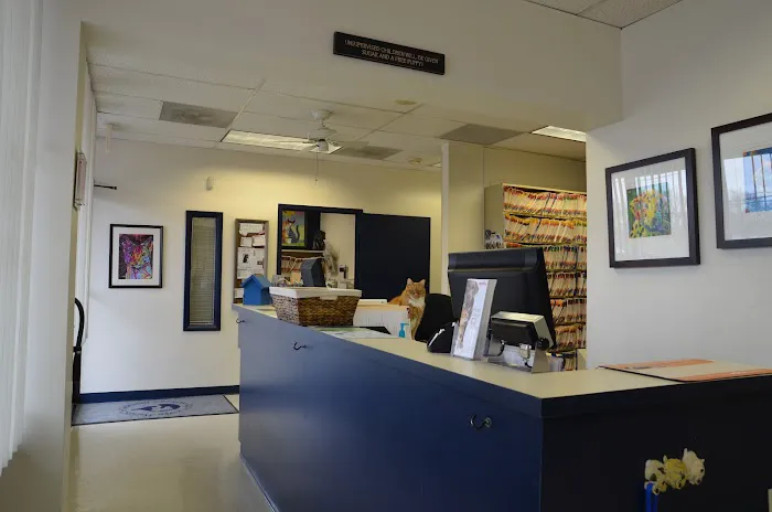 Greater South River Animal Hospital Picture 9