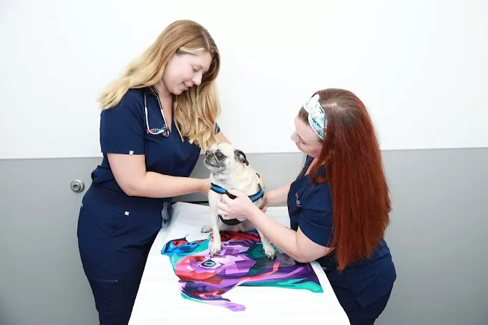 PetMedic Urgent Care Vet Clinic of Edgewater Picture 3