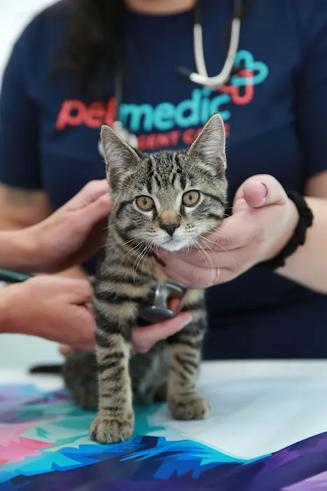 PetMedic Urgent Care Vet Clinic of Edgewater Picture 10