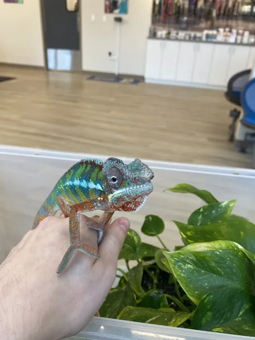 Bayside Animal Medical Center Picture 1