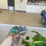 Bayside Animal Medical Center