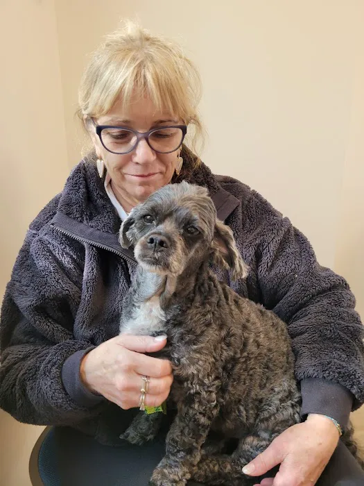 Bayside Animal Medical Center Picture 3