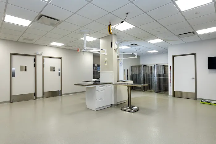 Bayside Animal Medical Center Picture 6