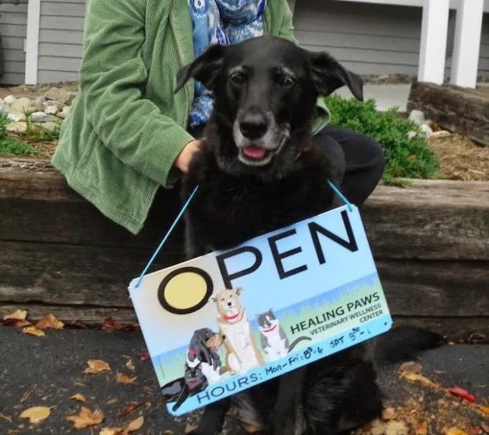 Healing Paws Veterinary Wellness Center Picture 6