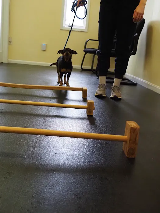Golden Paws Animal Rehabilitation Center Picture 4