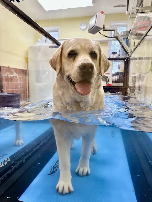 Golden Paws Animal Rehabilitation Center Picture 1
