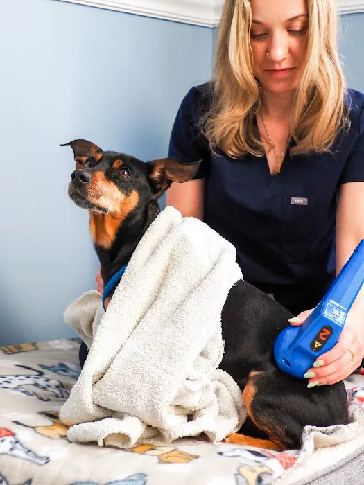 Golden Paws Animal Rehabilitation Center Picture 7