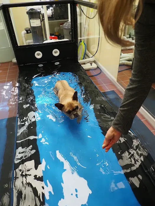 Golden Paws Animal Rehabilitation Center Picture 10