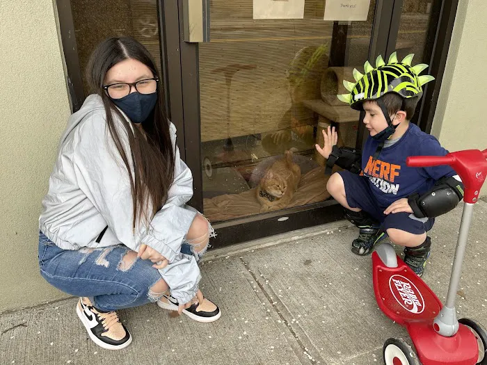 Bergenfield Animal Clinic Picture 1