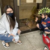 Bergenfield Animal Clinic ico