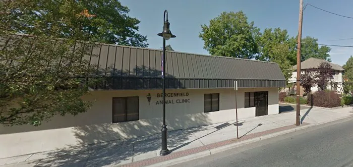 Bergenfield Animal Clinic Picture 10