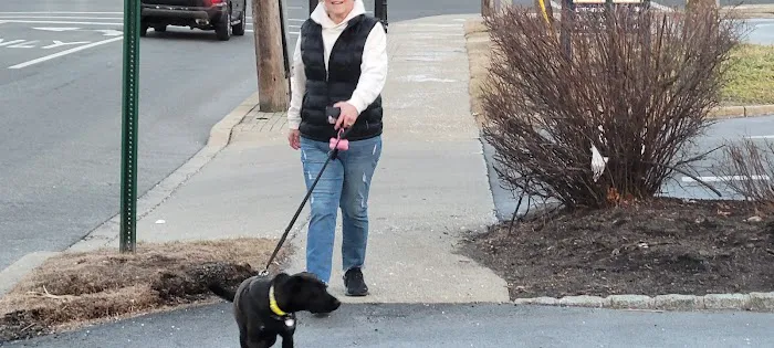 VCA Old Tappan Veterinary Hospital Picture 2