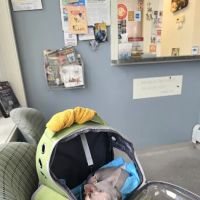 Englewood Cliffs Veterinary, PA ico