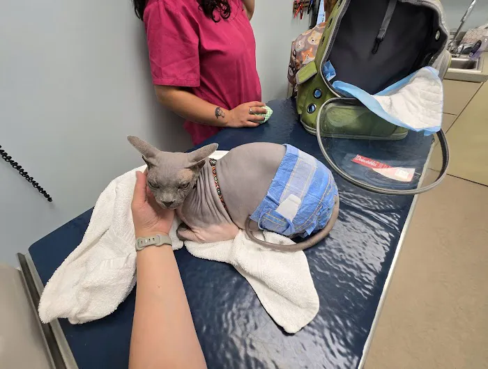 Englewood Cliffs Veterinary, PA Picture 5