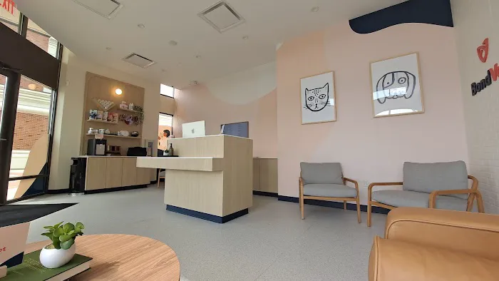Bond Vet - Edgewater Picture 2