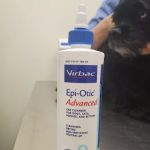 Edgewater Animal Hospital