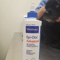 Edgewater Animal Hospital ico