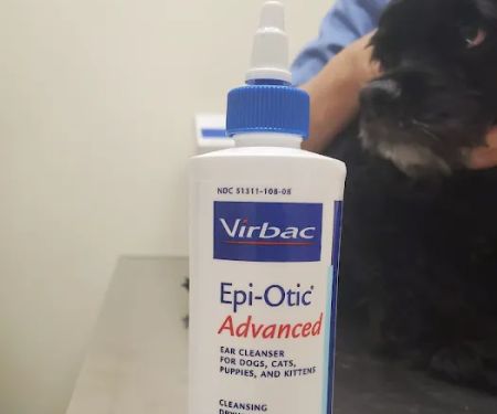 Edgewater Animal Hospital