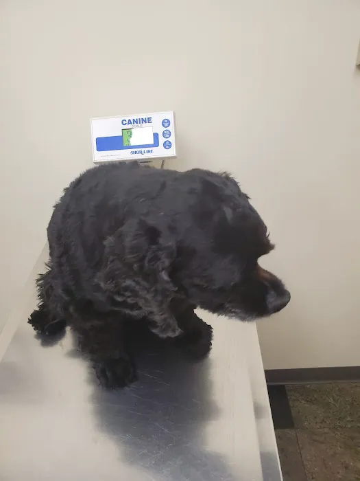 Edgewater Animal Hospital Picture 4