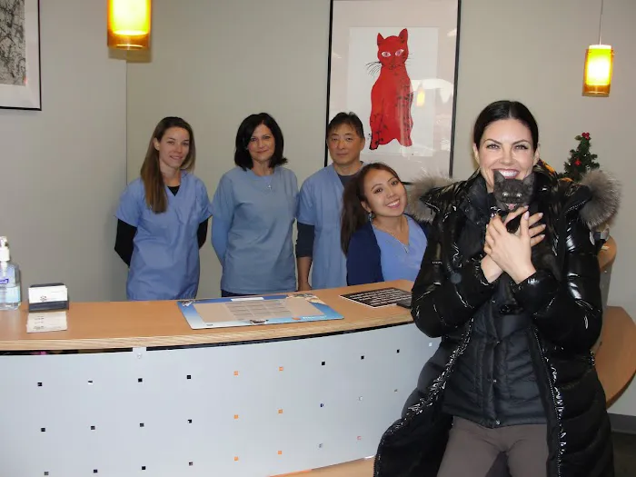 Edgewater Animal Hospital Picture 3