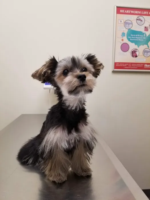 Edgewater Animal Hospital Picture 5