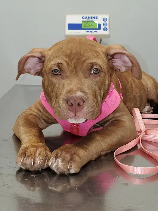 Edgewater Animal Hospital Picture 6