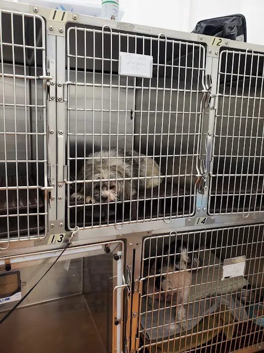 Riverside Veterinary Clinic Picture 3