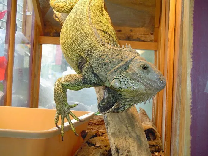 Riverside Veterinary Clinic Picture 7